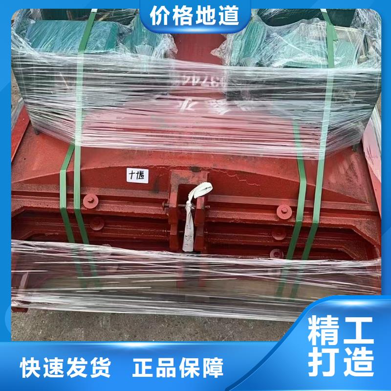 铸铁镶铜闸门-河道铸铁闸门实力雄厚
