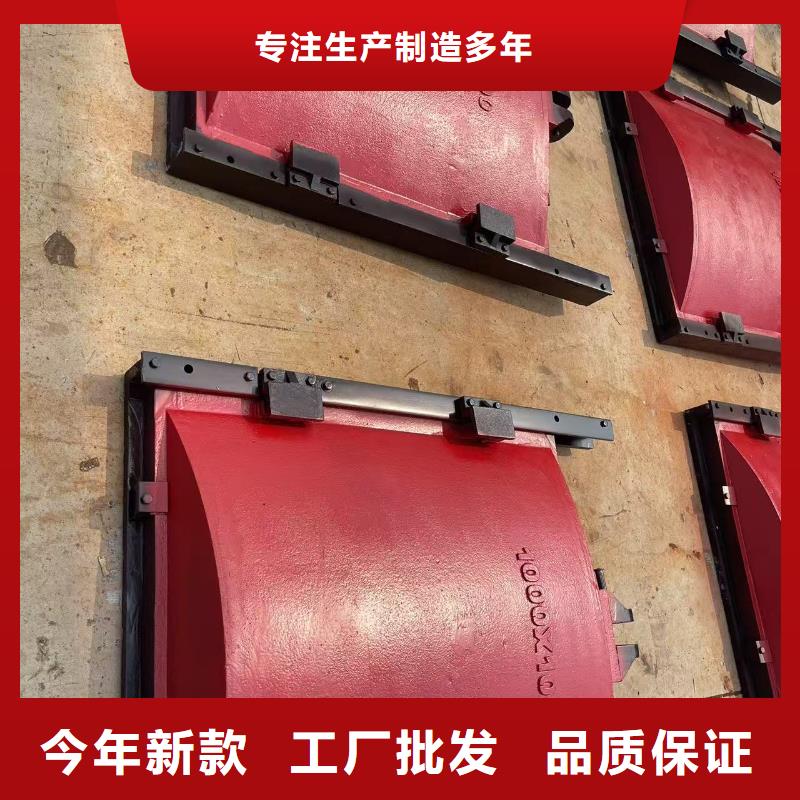 启闭机闸门-平面闸门带直联启闭机直供价优