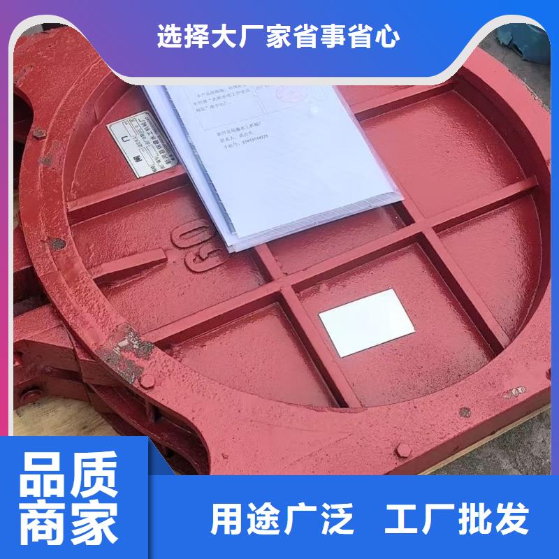 启闭机闸门-闸门启闭器技术领先