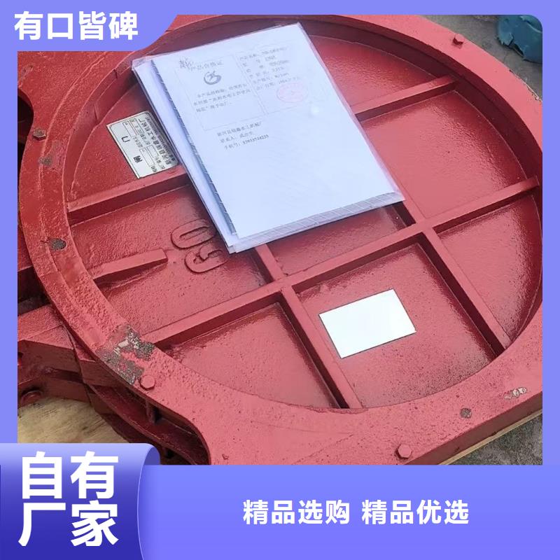 平面拱形闸门-2×1.8铸铁闸门创新