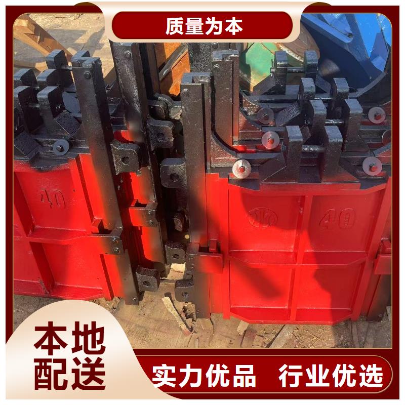 镶铜铸铁止水双向闸门便宜批发