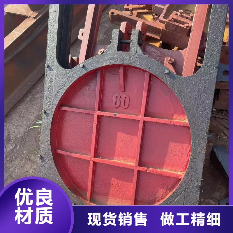 铸铁闸门-ZMQF铸铁镶铜闸门自动化