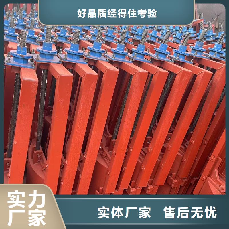 河道铸铁闸门-平板铸铁镶铜闸门信誉良好