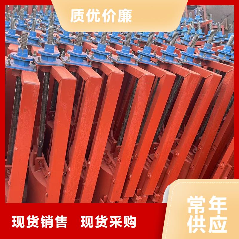 平面拱形闸门-双向止水铸铁镶铜闸门创新