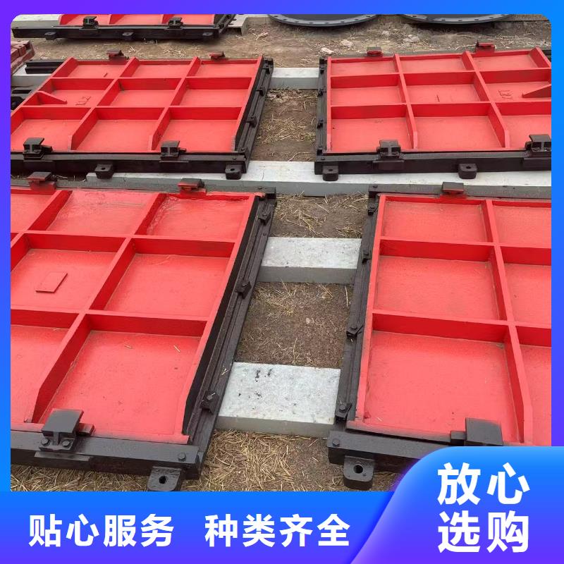 渠道闸门-水道闸门自动化