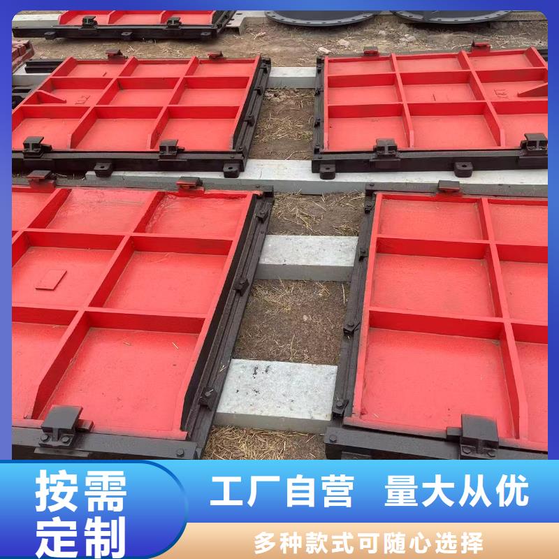 闸门启闭机-双止水铸铁闸门品质卓越