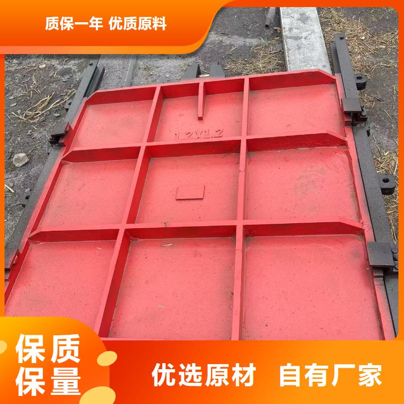 澄迈县平面拱形闸门-闸门与启闭机直供价优