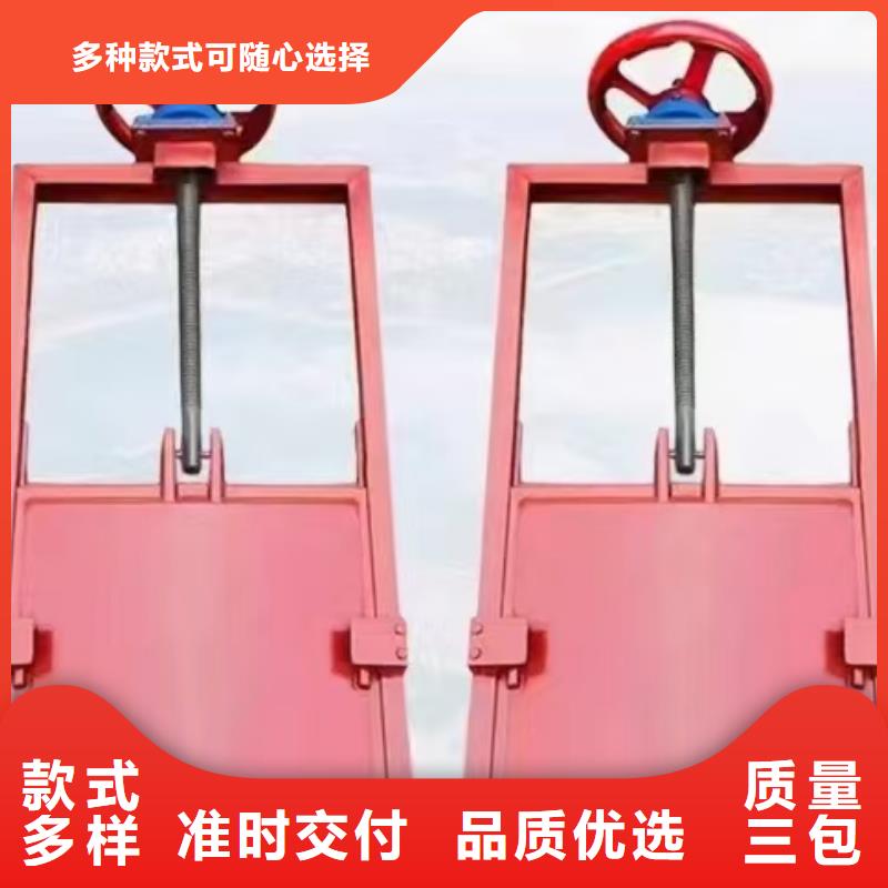 河道铸铁闸门-平板钢闸门技术领先
