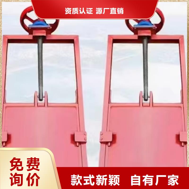 启闭机闸门-水电站闸门服务贴心