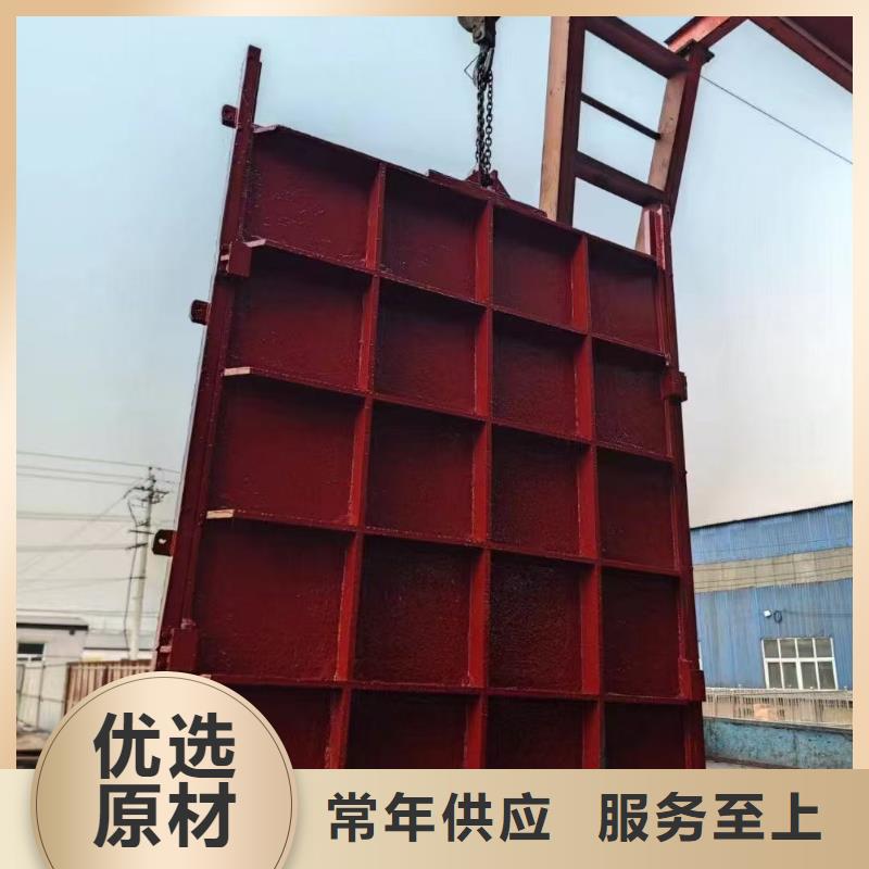 渠道闸门-双向铸铁镶铜闸门信誉良好