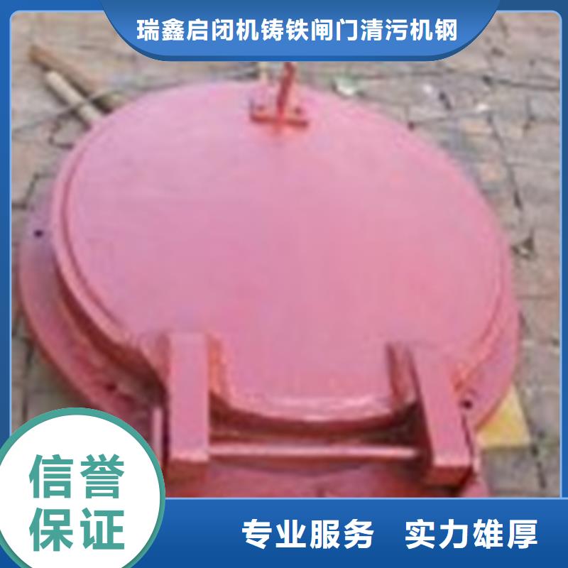 启闭机钢制拍门来图来样定制