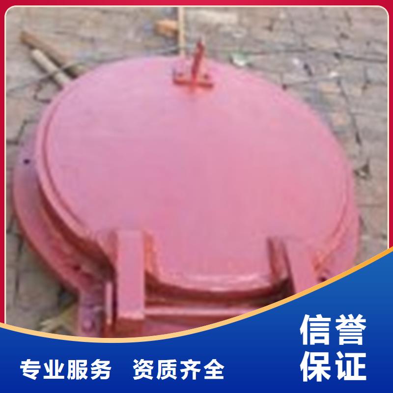 专注方形-自由侧翻式钢制拍门销售