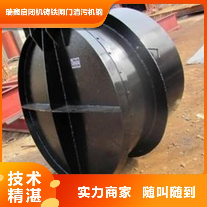 启闭机钢制拍门来图来样定制