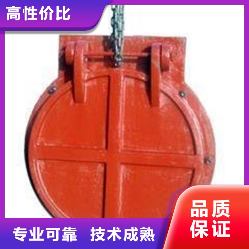库存充足的圆形铸铁拍门生产厂家