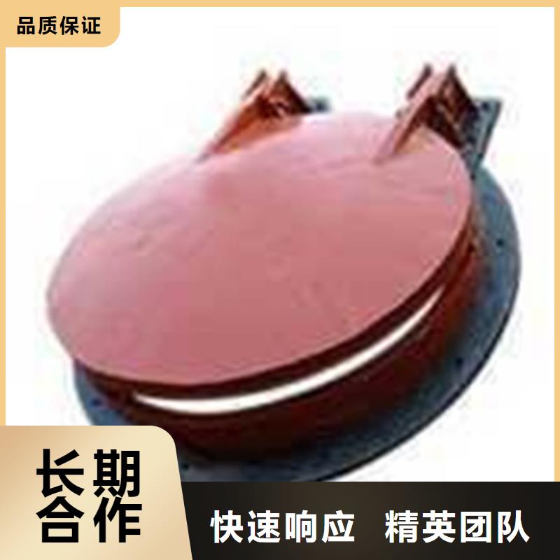 复合材料拍门实体大厂-放心选购