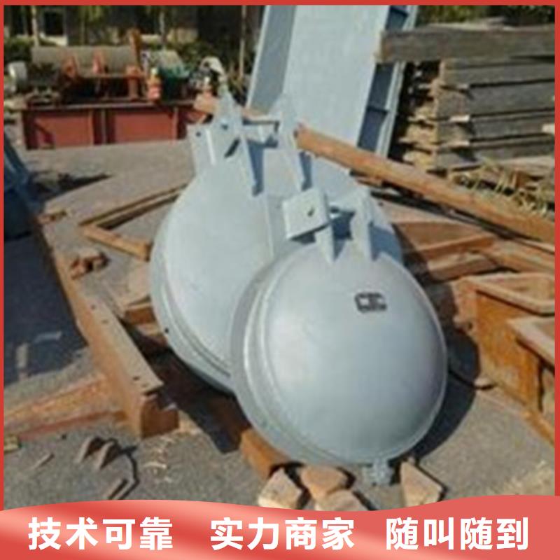 斗门区拍门生产厂家价格