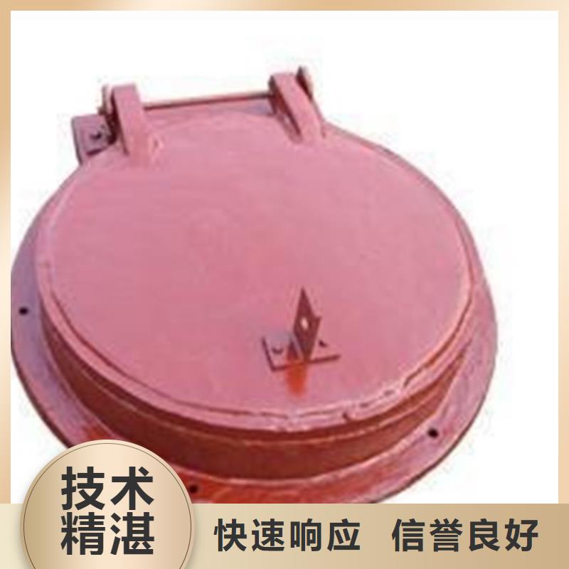 启闭机钢制拍门来图来样定制