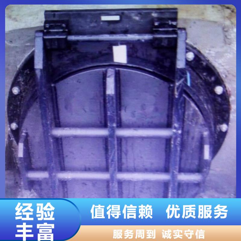乐东县批发拍门的公司