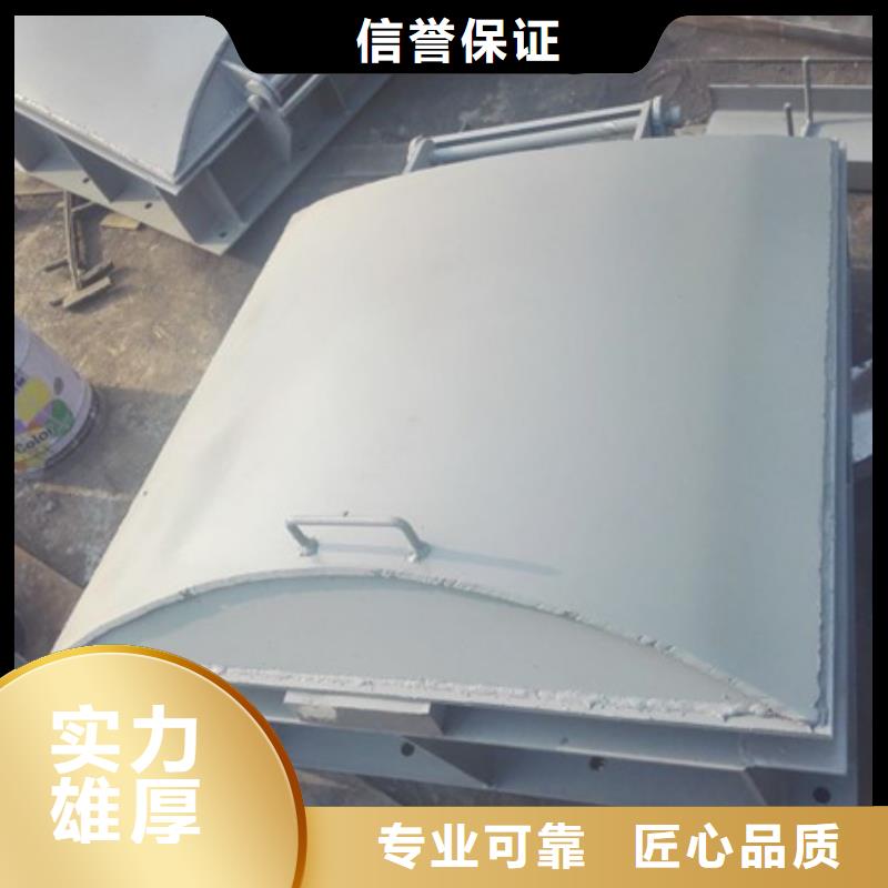 法兰式铸铁拍门生产厂家