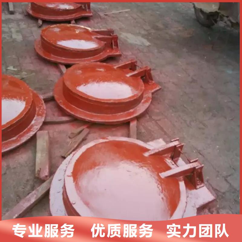 专注方形-自由侧翻式钢制拍门销售