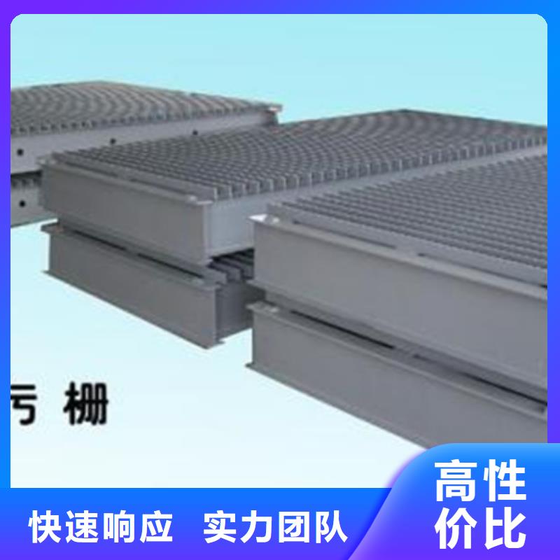 抓斗式清污机回转式粗格栅机-按需定制