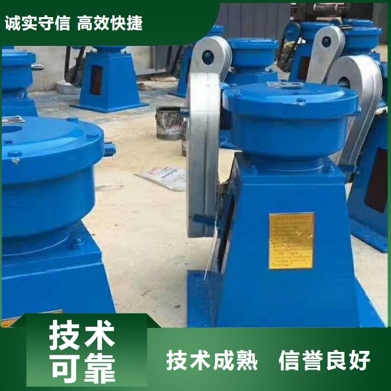 卷扬启闭机弧形闸门启闭机直供价优