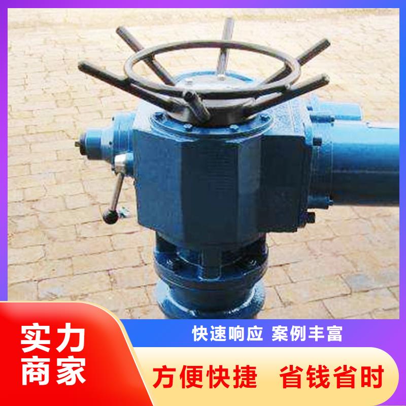 电动闸门启闭机大厂家值得信赖
