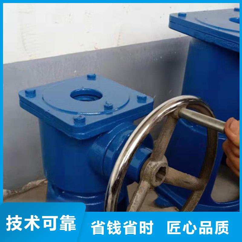 启闭机闸门手电两用螺杆启闭机提供一站式解决方案