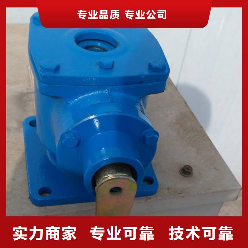 侧摇启闭机一手货源
