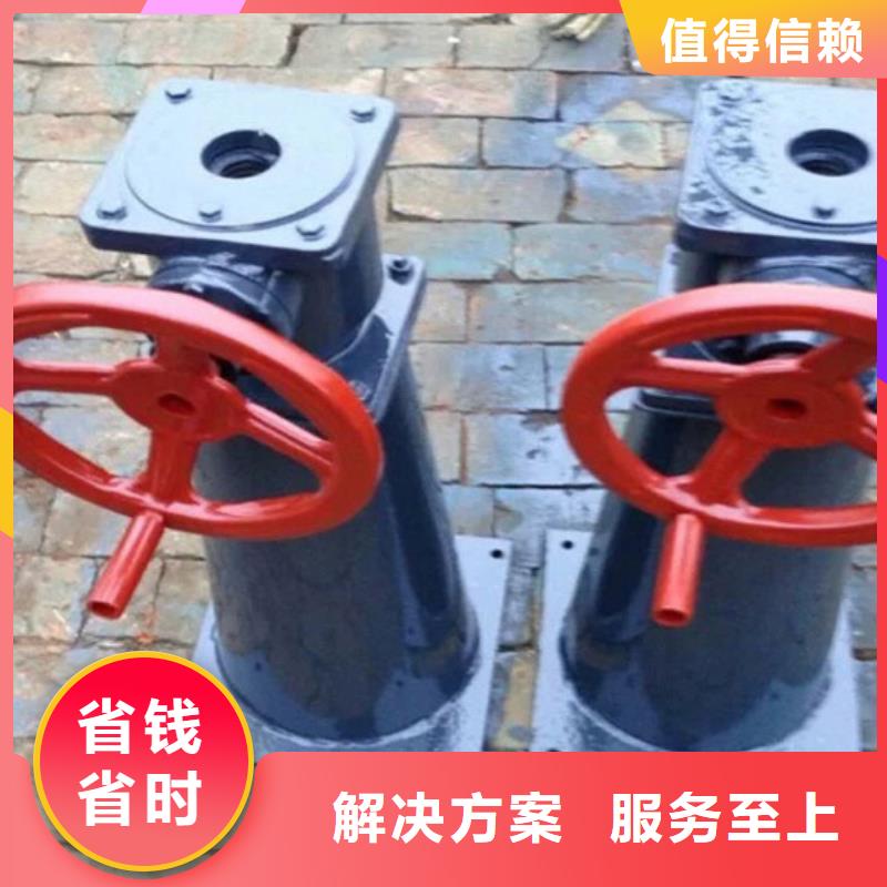 启闭机闸门手电螺杆启闭机助力绿色水利建设