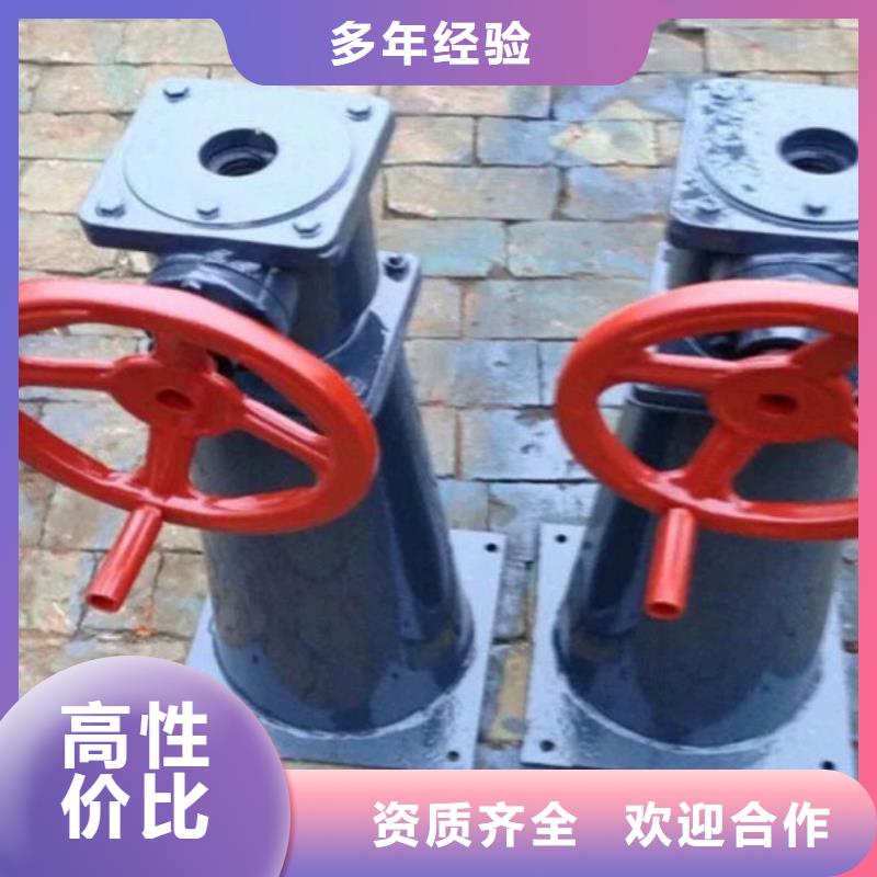 注重手电两用螺杆启闭机质量的厂家