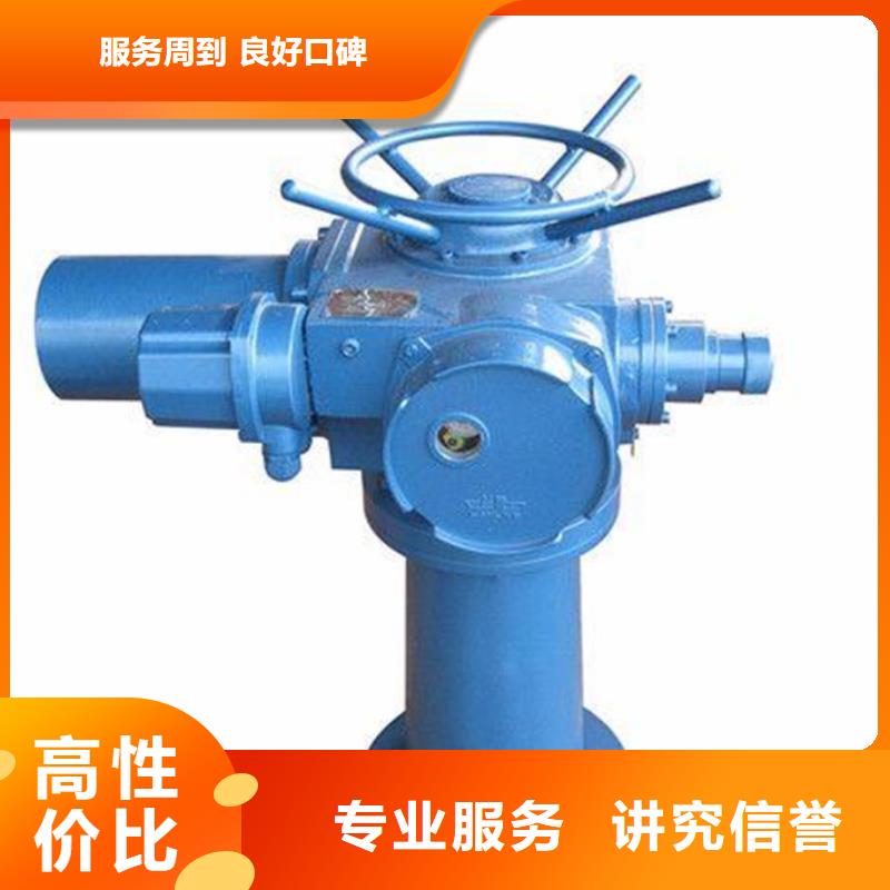启闭机闸门手轮螺杆启闭机本地厂家