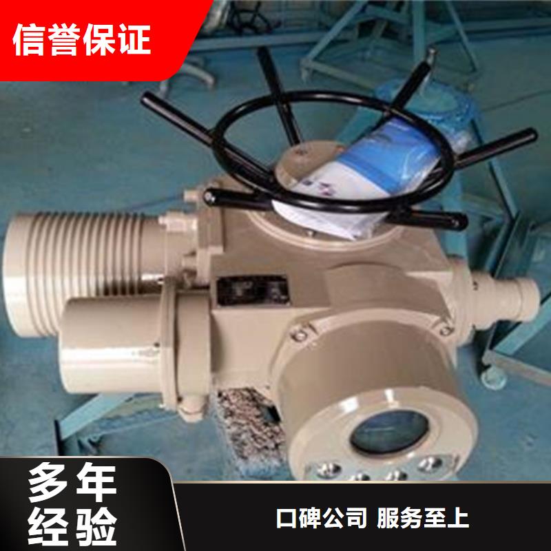 卷扬启闭机双吊点手电两用启闭机老牌厂家