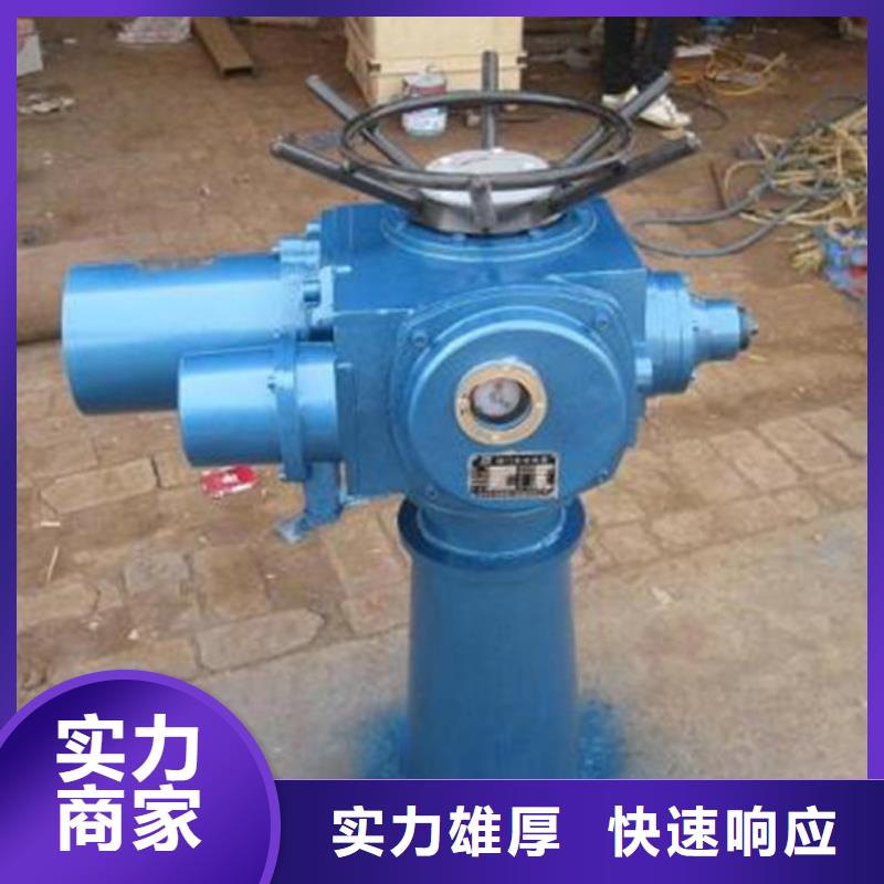 启闭机闸门螺杆启闭机打造智能化水利工程
