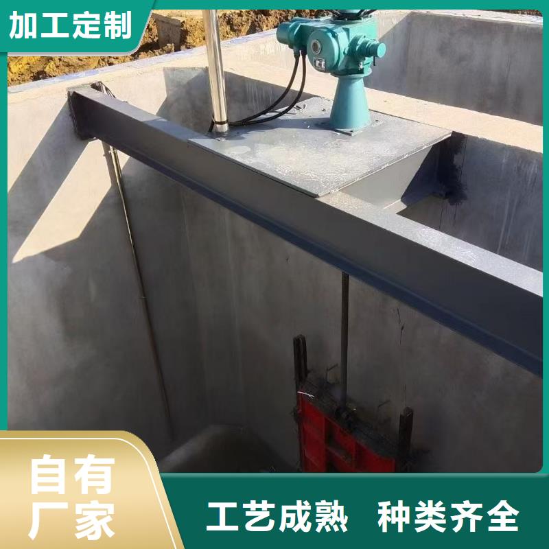 启闭机水利启闭机提供一站式解决方案