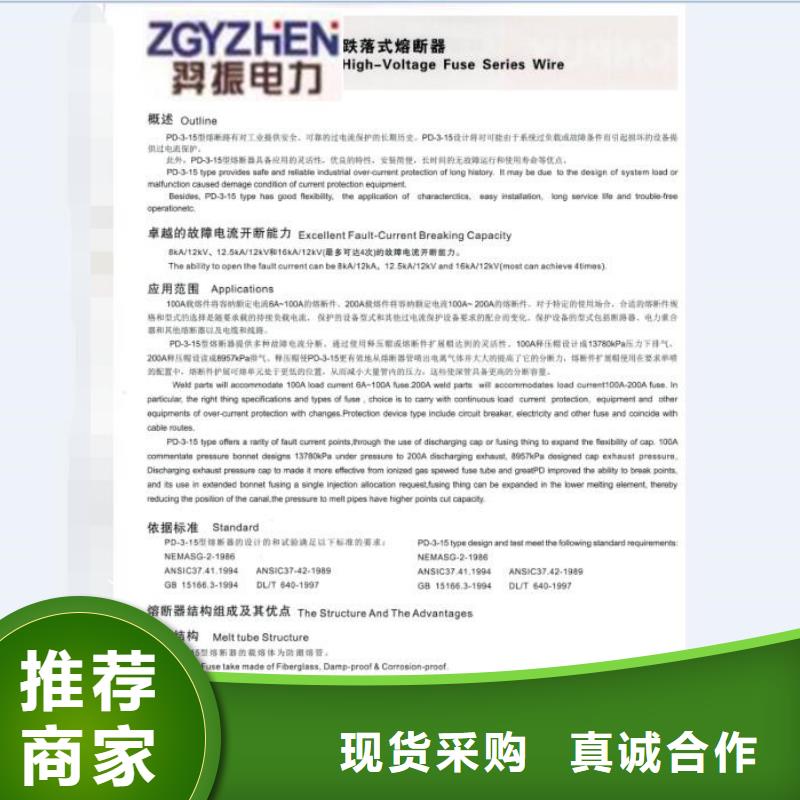 熔断器,35KV真空断路器厂家大量现货
