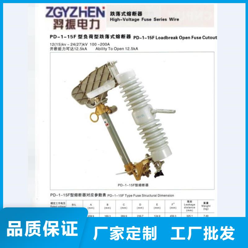 熔断器塑壳式断路器认准大品牌厂家
