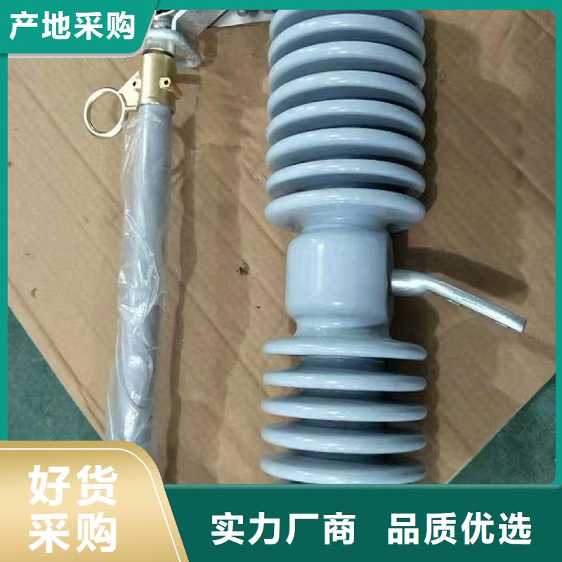 熔断器 户外绝缘件买的是放心