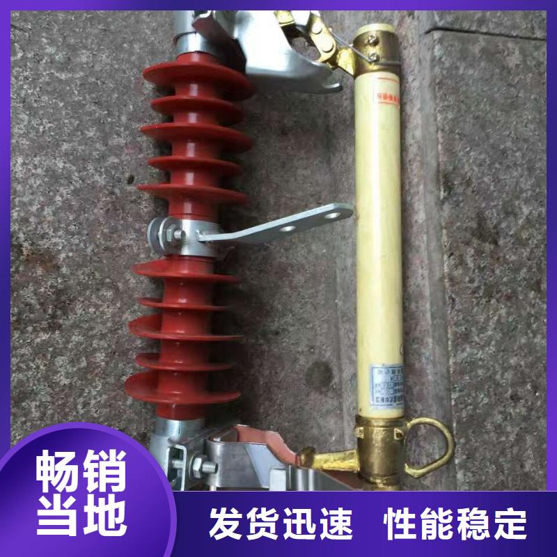 熔断器 金属氧化物避雷器快速发货