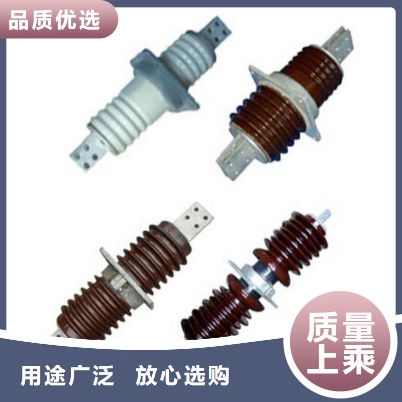 高压隔离开关绝缘子厂家高质量高信誉