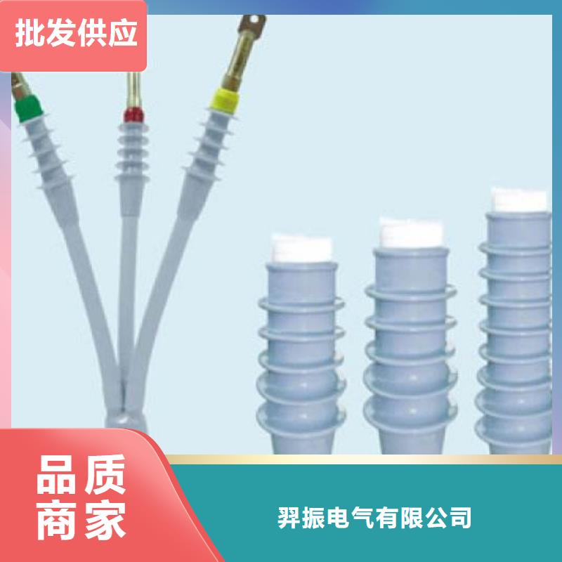 隔离开关厂家视频-金昌|武威|甘南|酒泉|兰州隔离开关厂家质量可靠-羿振电气(甘肃省分公司)
