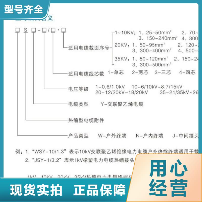 隔离开关厂家视频-广西省梧州市|苍梧|岑溪|贺州|河池|百色|来宾|桂林隔离开关厂家-羿振