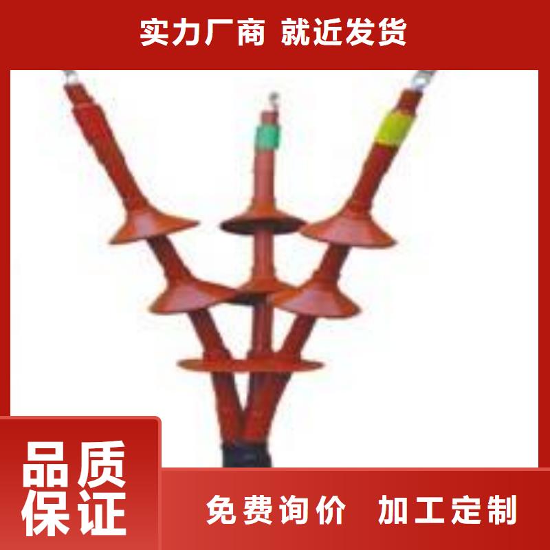 隔离开关厂家视频-金昌|武威|甘南|酒泉|兰州隔离开关厂家质量可靠-羿振电气(甘肃省分公司)
