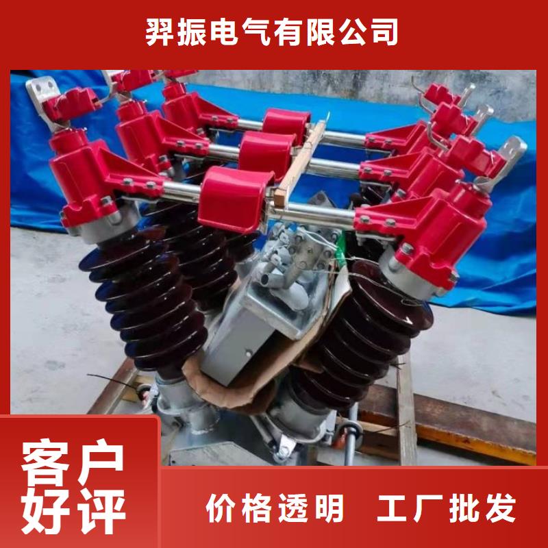 户外高压隔离开关HGW1-12/630A
