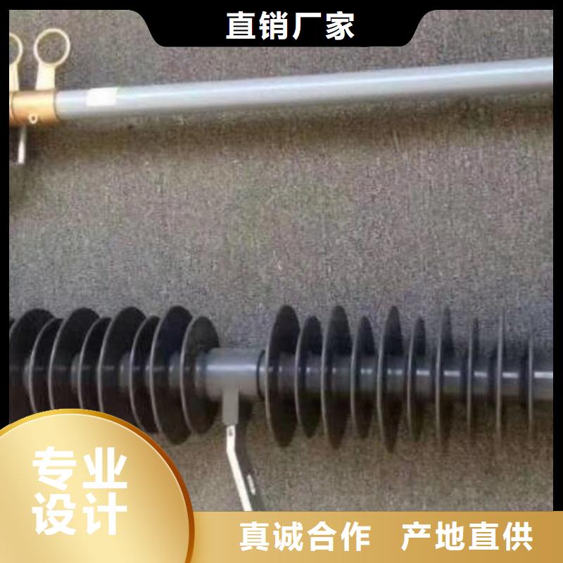 熔断器柱式绝缘子品质服务