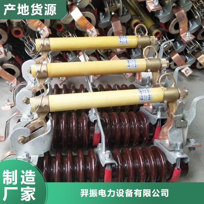 熔断器三相组合式避雷器现货齐全售后无忧