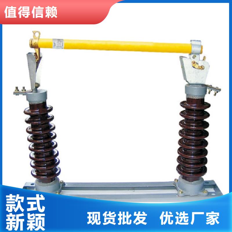 熔断器避雷器欢迎来厂考察