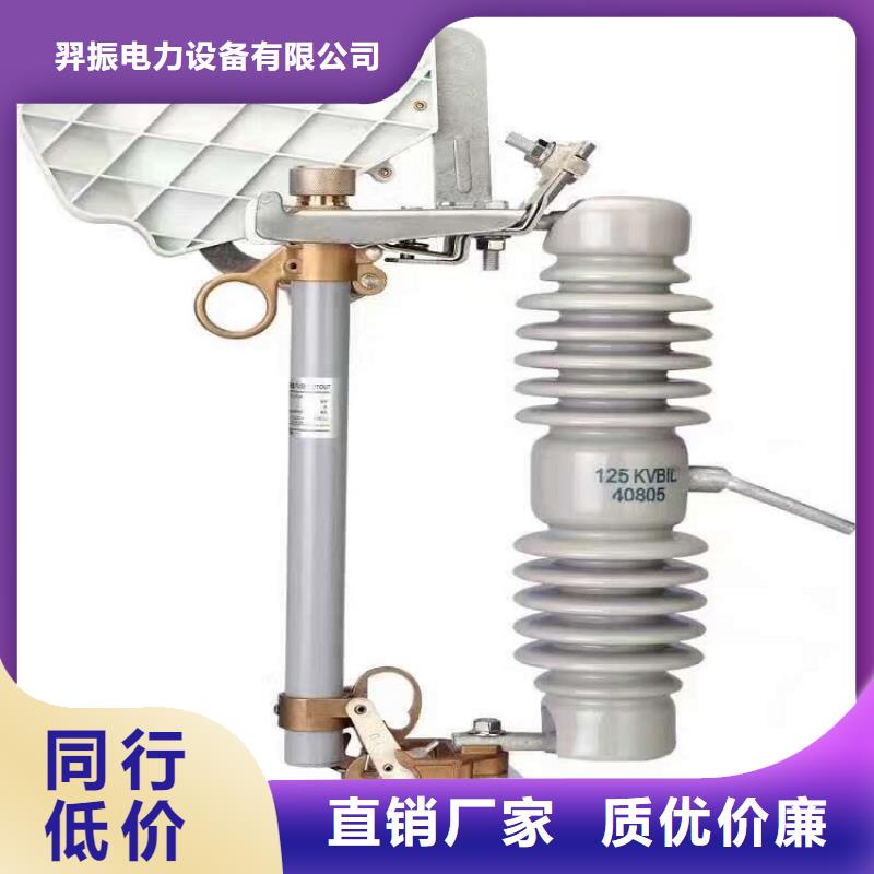 熔断器-【避雷器】实力公司