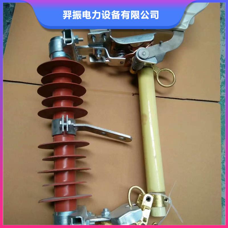 熔断器金属氧化物避雷器品质无所畏惧