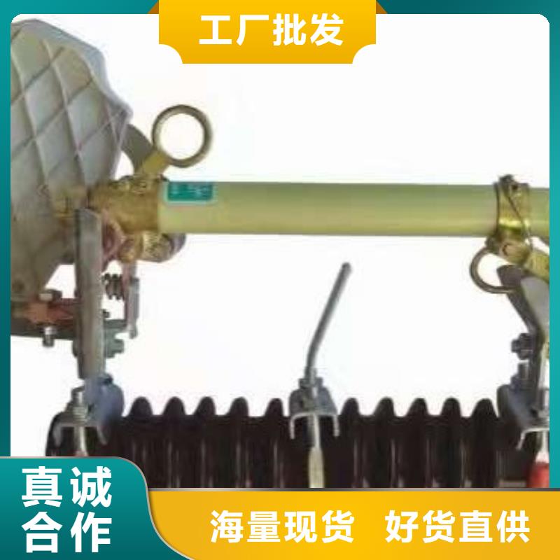 熔断器_金属氧化物避雷器专注细节专注品质